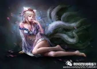 图片区小说区激情区偷拍区:小狐仙最新,探索网络世界的新领域，图片区、小说区、激情区与偷拍区——小狐仙的最新足迹