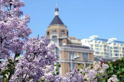 伊人久久五月丁香综合中文亚洲:11-13-36-40-42-46G:28,伊人久久五月丁香,亚洲综合之美与数字的魅力 伊人久久五月丁香综合中文亚洲:11-13-36-40-42-46G:28,伊人久久五月丁香,亚洲综合之美与数字的魅力