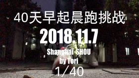 国产特级毛片AAAAAA高清:07-11-39-40-42-47H：09,探索国产特级毛片，从高清画质到内容的深度解读（07-11-39-40-42-47H与09的魅力）