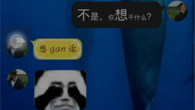 人人天干天干啦夜天干天天爽:01-17-19-23-25-43W:09,人人天干夜,天干天天爽,探索未知领域的无限魅力 人人天干天干啦夜天干天天爽:01-17-19-23-25-43W:09,人人天干夜,天干天天爽,探索未知领域的无限魅力