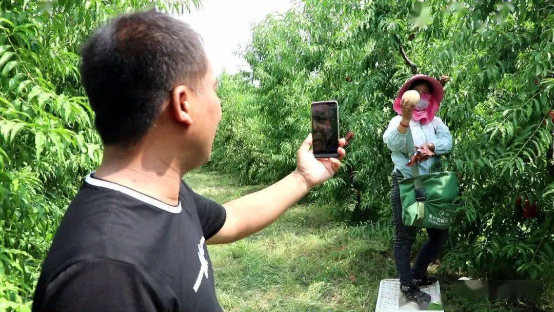 亚洲AV无码成人精品区蜜桃:05-16-19-21-23-40M：33,亚洲AV无码成人精品区——探索蜜桃的独特魅力（05-16-19等时段深度解析）