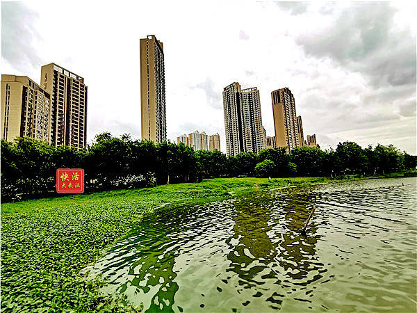 亚洲小说少妇区图片:14-34-36-39-44-49K:20,关于亚洲小说少妇区图片的一些探讨 亚洲小说少妇区图片:14-34-36-39-44-49K:20,关于亚洲小说少妇区图片的一些探讨