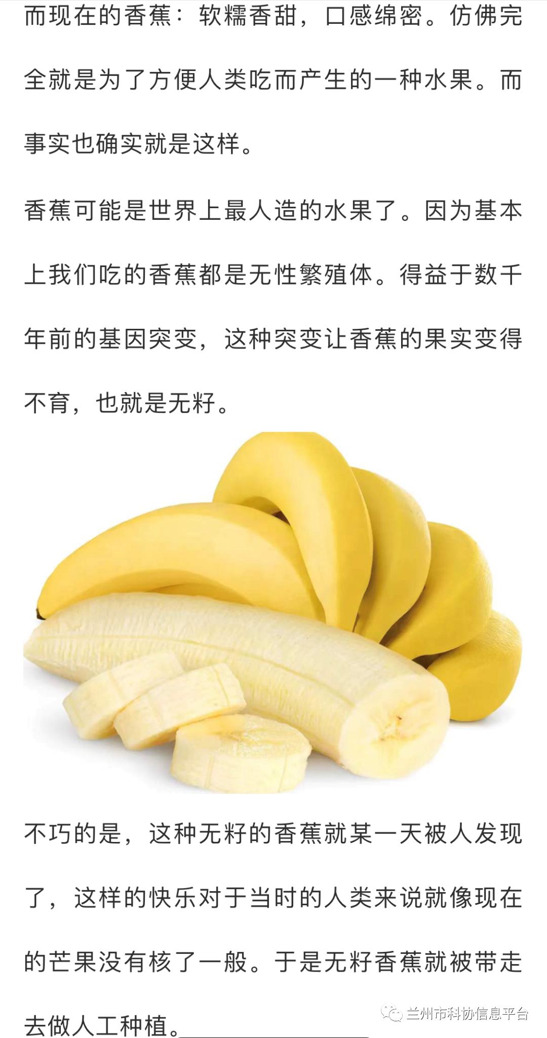 色8久久人人97超碰香蕉987:02-06-23-32-36-37D:20,探索数字世界的奥秘,色8久久与超碰香蕉的交织 色8久久人人97超碰香蕉987:02-06-23-32-36-37D:20,探索数字世界的奥秘,色8久久与超碰香蕉的交织