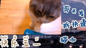 好大好硬好爽快点我要:14-17-20-27-45-46F:13,探索神秘数字序列背后的故事,关于一种超越言语的体验 好大好硬好爽快点我要:14-17-20-27-45-46F:13,探索神秘数字序列背后的故事,关于一种超越言语的体验