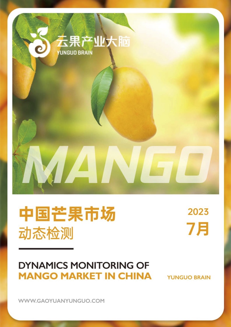 国内精品自线2021芒果:02-07-26-29-40-45Y：24,探索国内精品自线，以芒果为例，解读其独特魅力与未来发展（2021年02月07日至2月29日，以及未来展望）