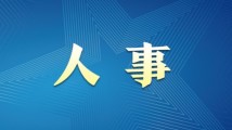 精品久久久久久久久久中文字幕:09-13-25-29-30-39H：04,精品久久久久久久久久中文字幕的魅力，一场视觉与心灵的盛宴