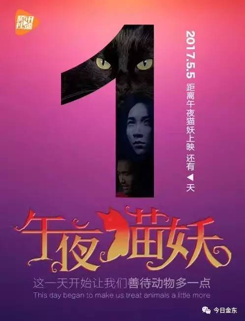 午夜免费视频:01-14-25-30-31-41Z：13,午夜免费视频，探索数字时代的娱乐新纪元（关键词，01-14-25-30-31-41Z，13）