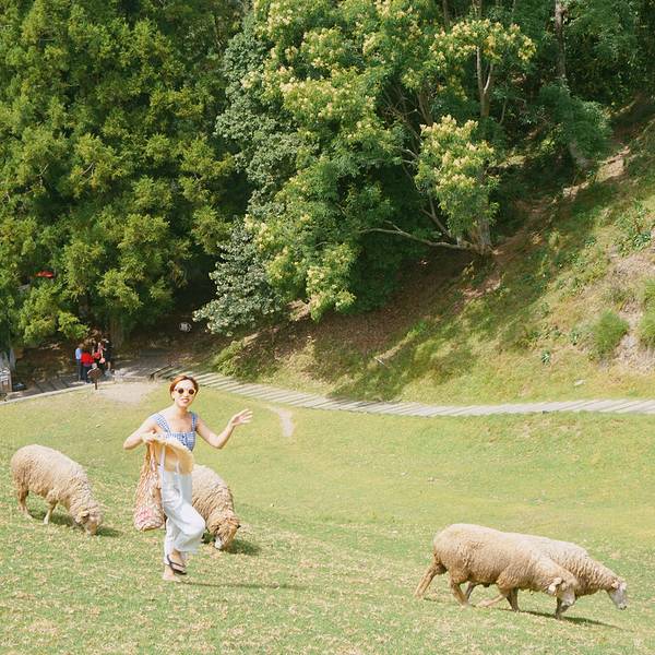 亚洲高清国产AV拍精品青青草原:01-17-19-23-25-43W:09,青青草原上的高清国产AV精品之旅 亚洲高清国产AV拍精品青青草原:01-17-19-23-25-43W:09,青青草原上的高清国产AV精品之旅