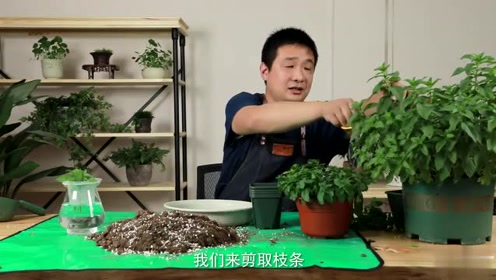 欧美老熟妇乱子伦视频:14-34-36-39-44-49K：20,欧美老熟妇乱子伦视频，探索与反思