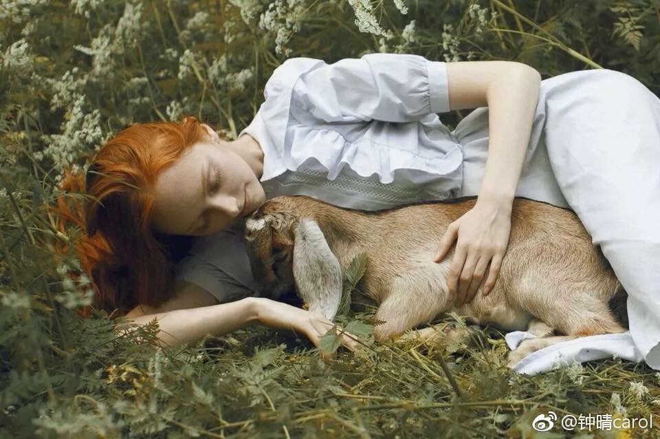 欧美人与动牲猛交A欧美精品:02-08-31-36-40-47A：17,欧美人与动物，探索人与动物和谐共生的奥秘（欧美精品系列）