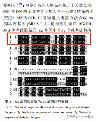 无码精品日韩专区:06-11-17-19-32-41A：19,无码精品日韩专区，深度探索与独特魅力（文章标题）