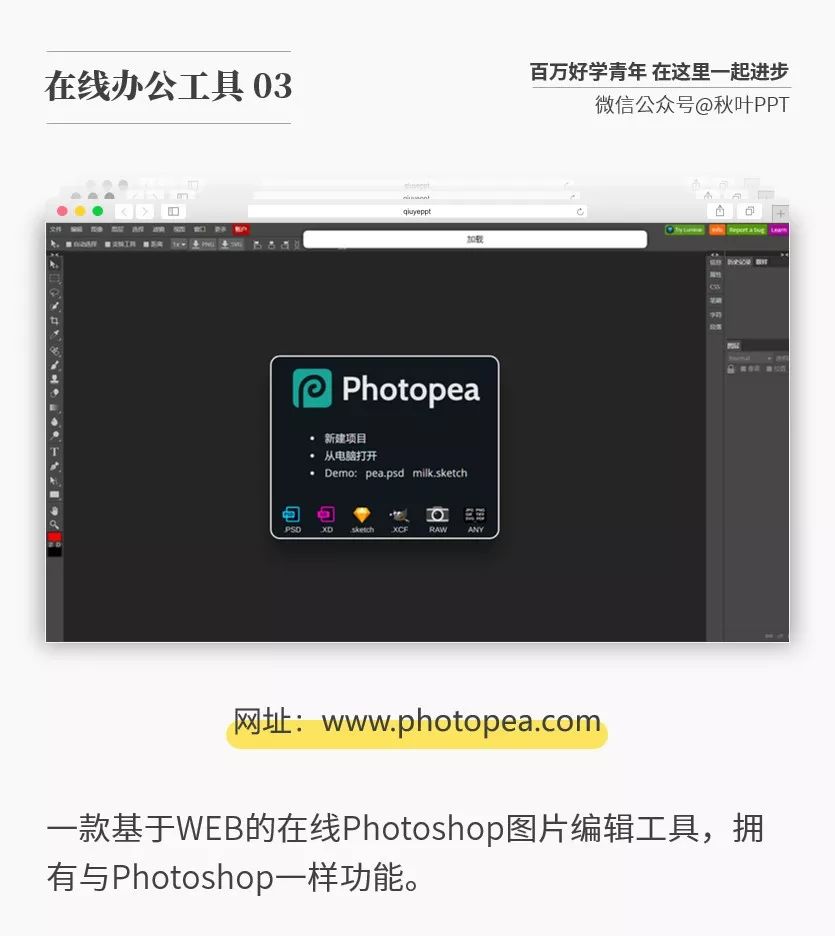 亚洲成色www久久网站:02-03-24-28-30-44D：02,亚洲成色的魅力与探索，久久网站的新视界（02-03-24-28-30-44D）