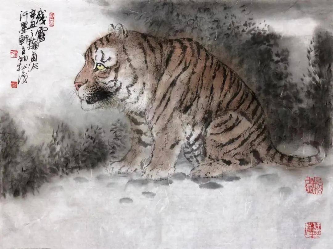 四虎永久在线精品免费一区二区:06-09-35-37-42-48P：46,四虎永久在线精品，免费一区二区的探索与体验
