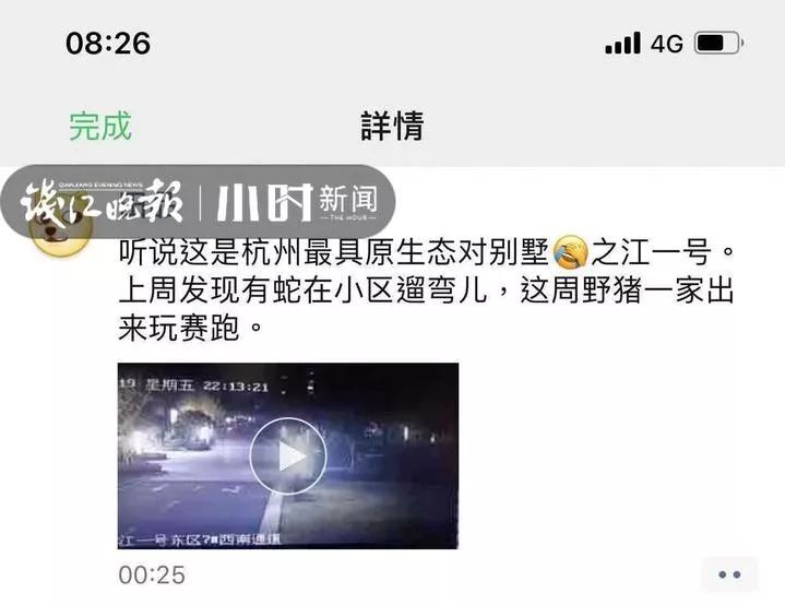 精品一区二区三区在线视频:02-09-24-39-43-49P：26,探索精品视频的世界，一区二区三区在线视频的魅力