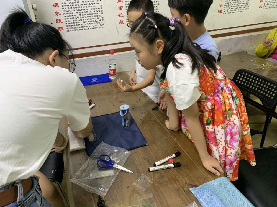 野花社区www在线观看:07-10-13-14-18-20C：41,野花社区www在线观看，一场文化与自然的盛宴