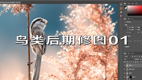 亚洲国产精品原创巨作av:01-18-28-43-45-47V：42,亚洲国产精品原创巨作，探索与赏析