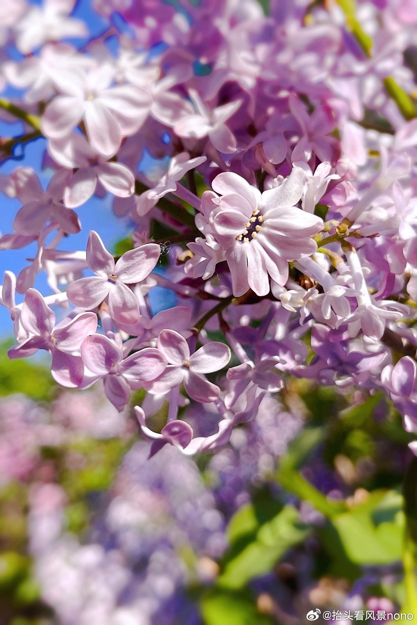 激情综合色五月丁香六月亚洲:14-19-21-35-40-43R:45,激情综合色,五月丁香与六月亚洲的独特魅力(14-45岁月人群必看) 激情综合色五月丁香六月亚洲:14-19-21-35-40-43R:45,激情综合色,五月丁香与六月亚洲的独特魅力(14-45岁月人群必看)