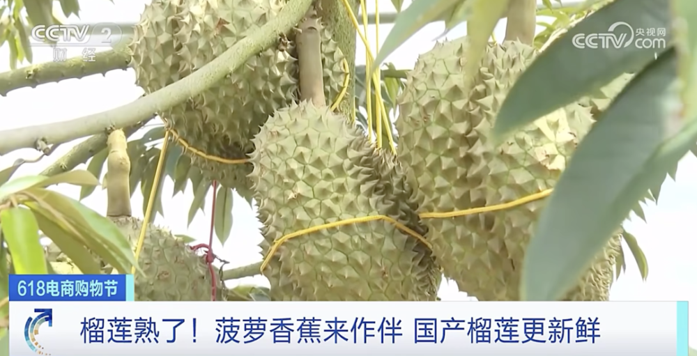 久久精品国产99久久久香蕉:07-10-18-20-24-38Y：38,久久精品国产与香蕉的奇妙世界，一场感官与心灵的盛宴（关键词，久久精品国产99久久久香蕉: 07-10-18-20-24-38Y，38）