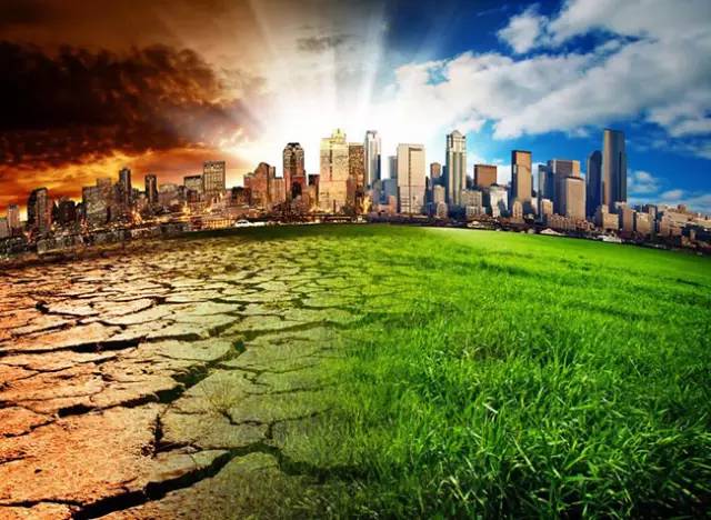 大地资源网在线观看免费国产一级a毛:03-05-13-18-31-33K：25,大地资源网在线观看免费国产一级影视资源，探索与赏析（文章）