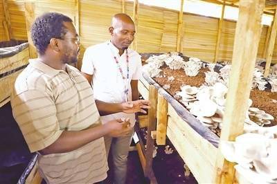 青草国产超碰人人添人人碱:01-12-23-32-40-41S:04,青草国产超碰人人添人人碱,探索新时代下的文化现象与社交模式 青草国产超碰人人添人人碱:01-12-23-32-40-41S:04,青草国产超碰人人添人人碱,探索新时代下的文化现象与社交模式