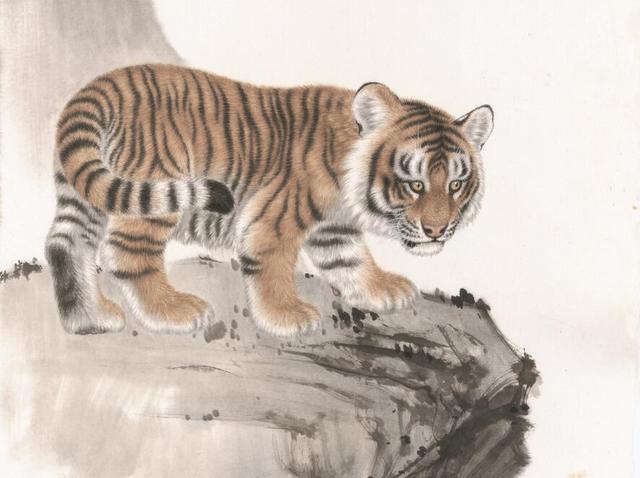 四虎国产精亚洲一区久久特色:01-02-06-09-18-24R：45,四虎国产精亚洲一区久久特色，探索独特魅力与深层内涵