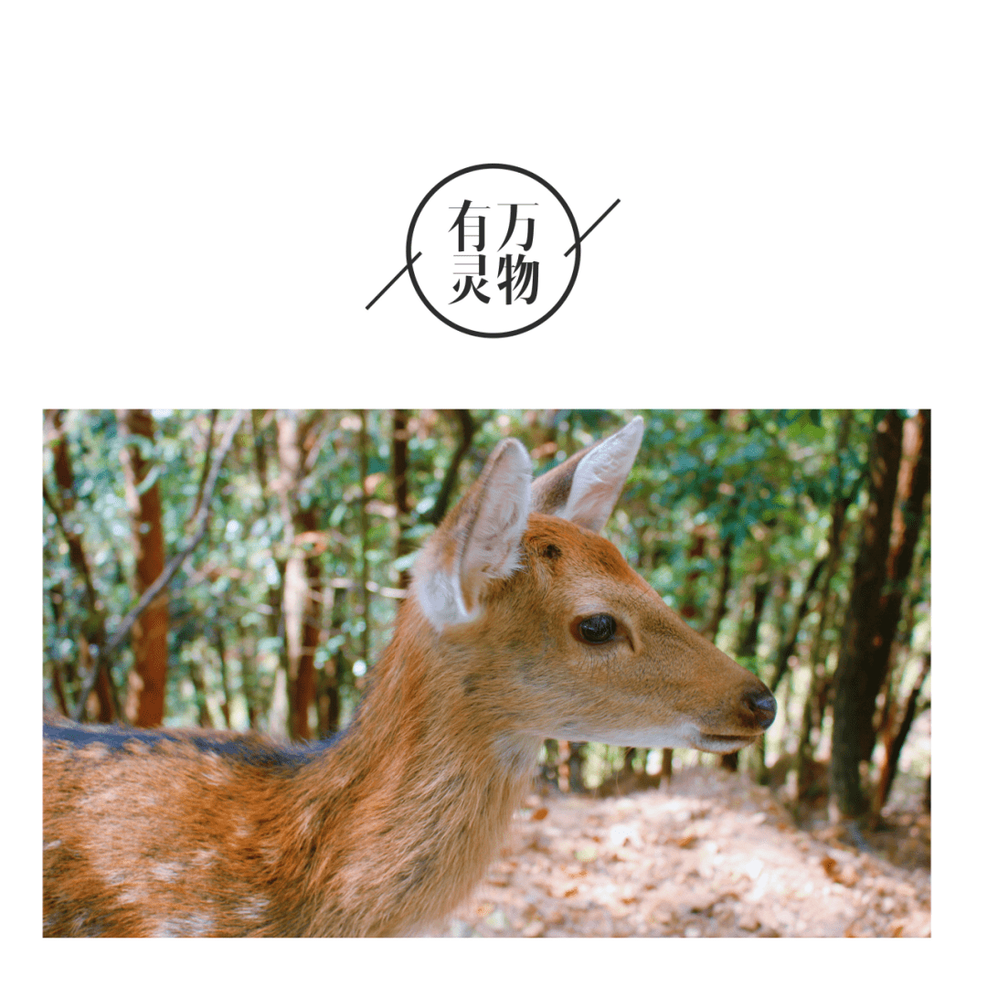 欧美老妇与禽交:02-18-19-24-34-48U:47,欧美老妇与禽交,探索一种文化现象的背后 欧美老妇与禽交:02-18-19-24-34-48U:47,欧美老妇与禽交,探索一种文化现象的背后