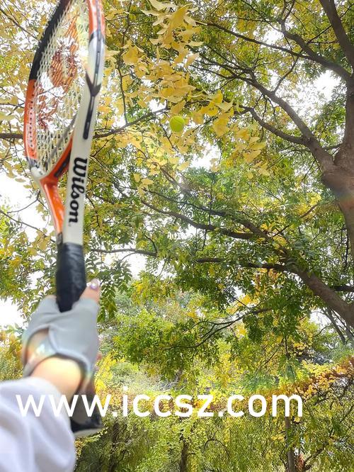 国产精品三级美女网站全黄真人一级毛片:01-02-06-09-18-24R：45,探索国产精品美女网站，真实、黄色与一级毛片的深度解析 (01-02-06-09-18-24R，45)