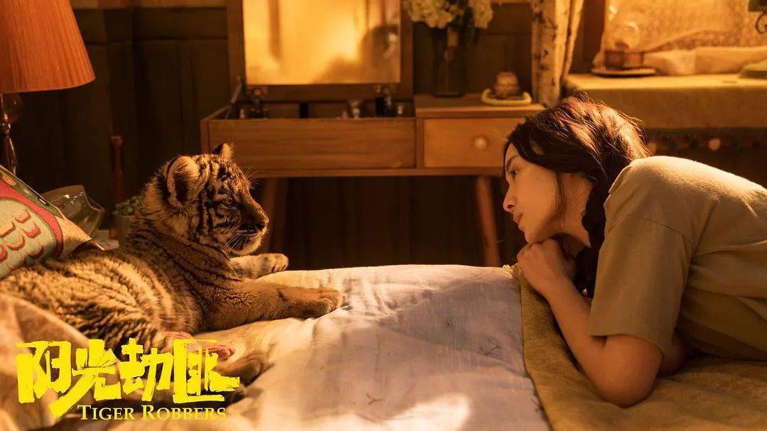 午夜福利AV无码一区二区:09-11-20-26-27-43N：01,午夜福利AV无码一区二区，探索成人娱乐的新领域