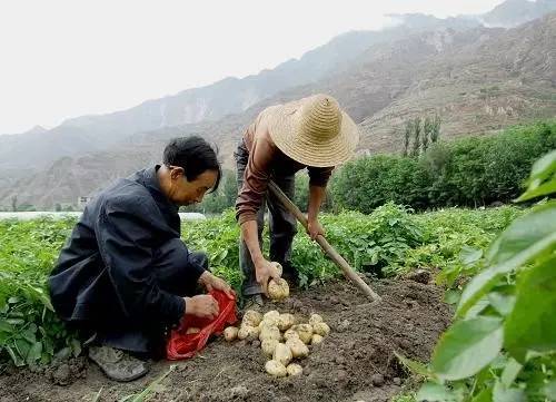 国产乱子伦一区二区三区视频播放:06-24-25-37-46-49Z：09,探索国产影视的多元魅力，一区二区三区视频播放的独特体验