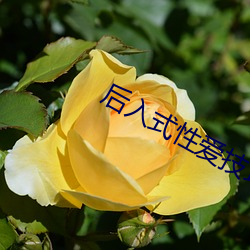 国产特级毛片AAAAAA高潮流水:06-07-21-27-30-39A：19,国产特级毛片，高潮流水的魅力探索与艺术呈现
