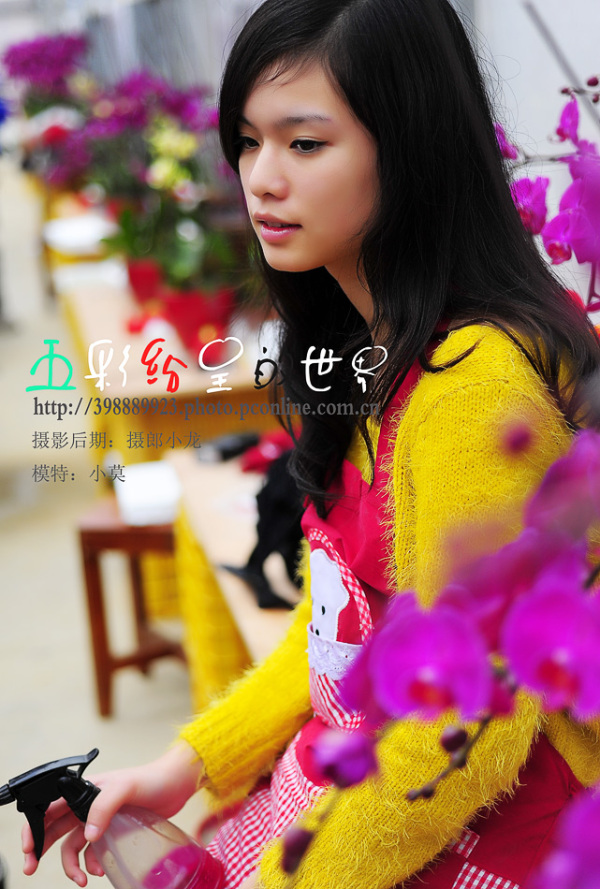 婷婷五月综合色视频:04-06-11-13-23-26Z：15,婷婷五月综合色视频，探索时间与色彩交织的美妙世界