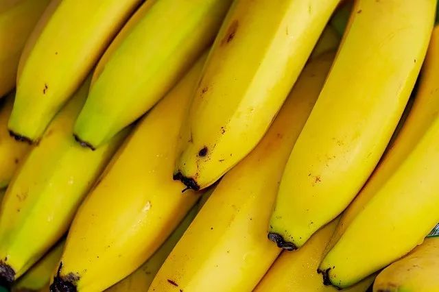 国产精品香蕉成人网在线观看:01-07-17-19-28-37U：17,探索国产精品香蕉成人网，一场视觉与情感的交织之旅