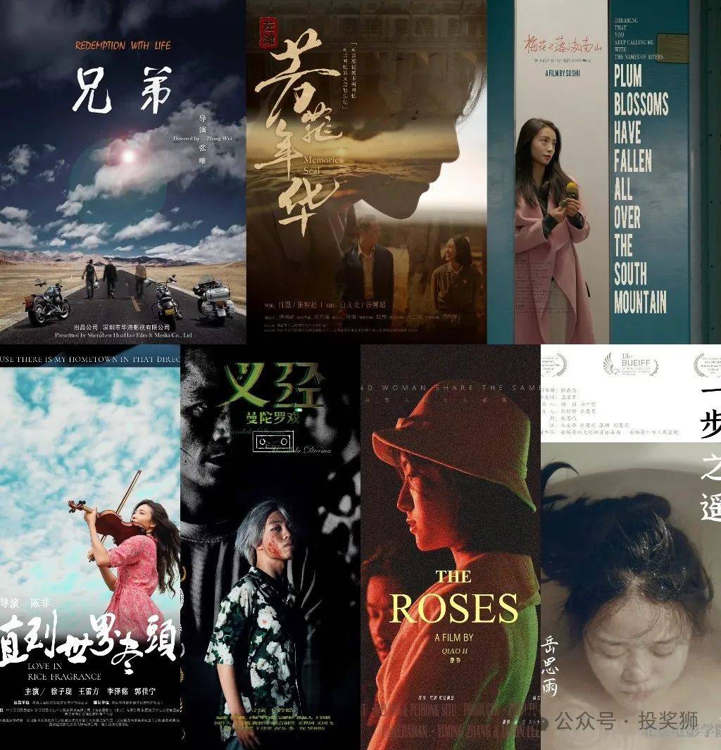 亚洲精品电影院:02-04-07-20-44-47S：02,亚洲精品电影院，一场视觉与情感的盛宴（编号，02-04-07-20-44-47S，02）