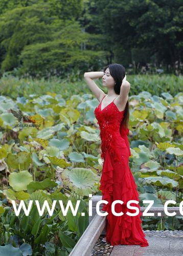 激情爆乳一区二区三区:02-04-12-25-27-49W：26,激情爆乳一区二区三区，探索数字背后的神秘魅力与深层含义
