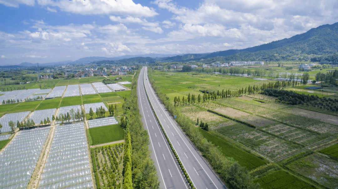 国产又黄又大又粗的视频:04-17-19-34-40-49D：28,国产影视文化的多元探索，从视频内容看时代变迁