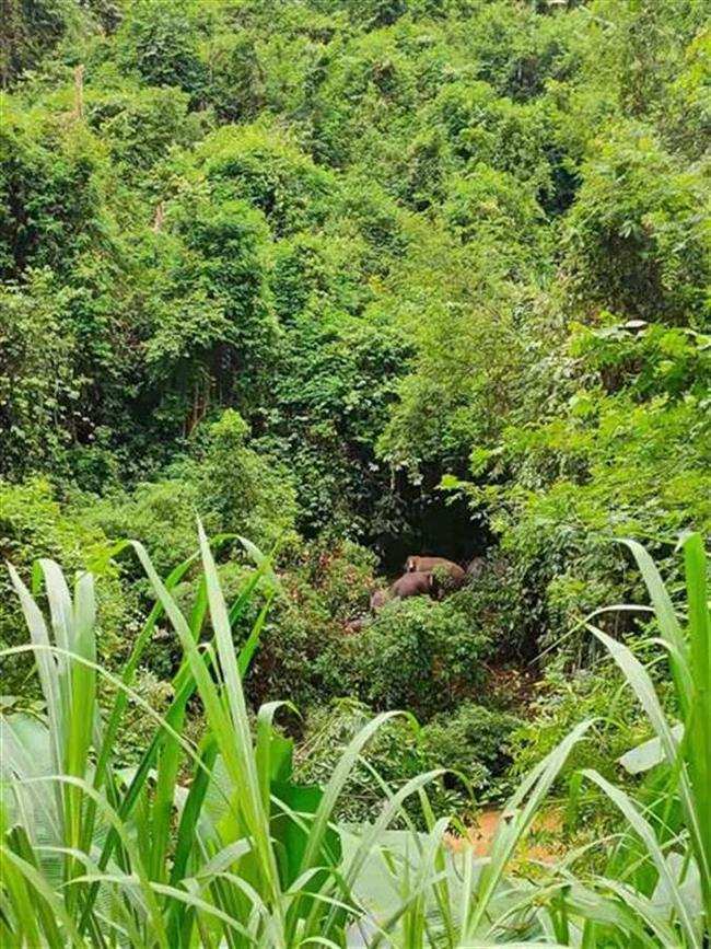 夜夜爽一区二区三区精品:03-09-12-16-17-25J:41,夜夜爽一区二区三区精品,探索不同区域的独特魅力与快感 夜夜爽一区二区三区精品:03-09-12-16-17-25J:41,夜夜爽一区二区三区精品,探索不同区域的独特魅力与快感