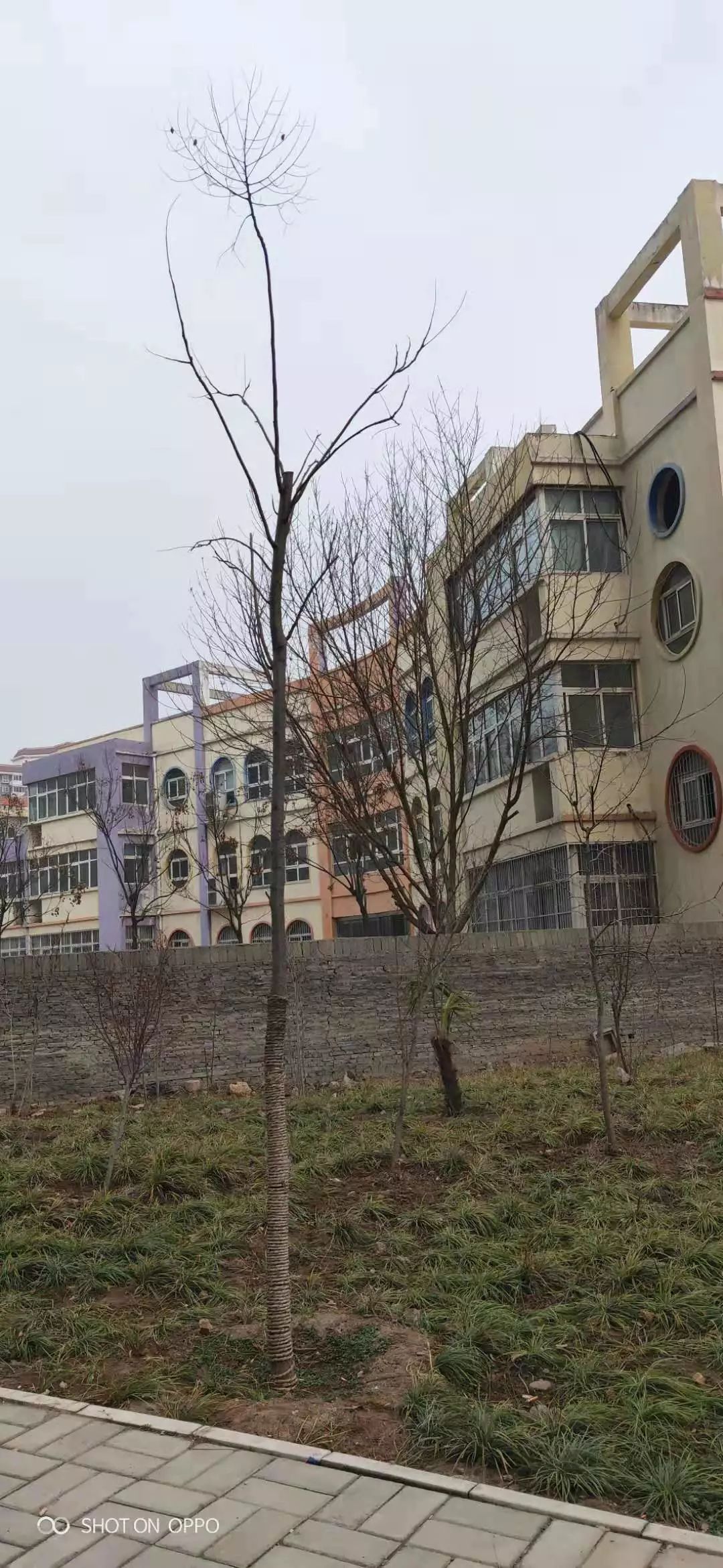 亚洲综合区小说区激情区:01-05-09-21-27-30Q：18,亚洲综合区小说区激情区，探索未知的世界与情感的交织（01-05-09-21-27-30）