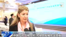 国产精品久久久久久久久绿色:07-13-18-22-35-49A：17,国产精品的文化内涵与绿色发展的探索之旅