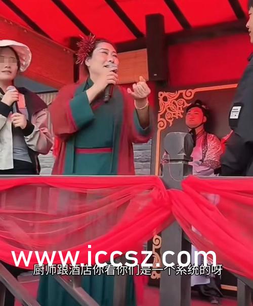 国产成人高清在线播放:18-19-29-31-38-43W：40,关于国产成人高清在线播放的探讨