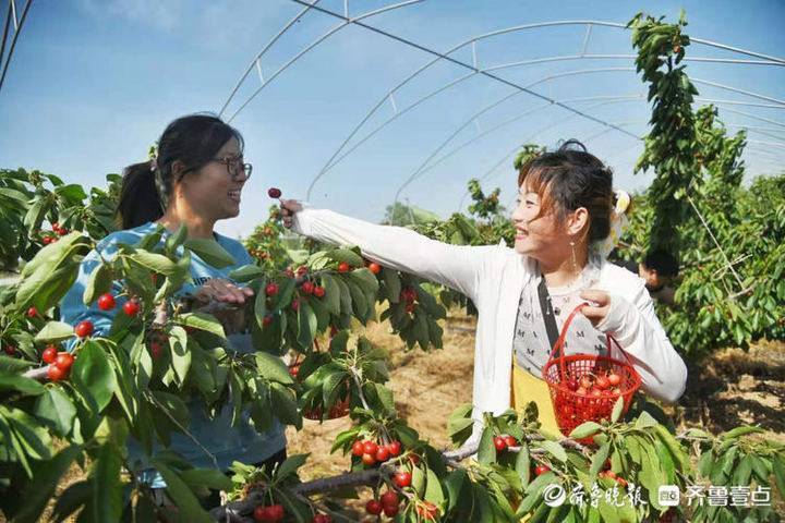 国产在线不卡人成视频:08-09-10-27-30-31F：31,关于国产在线视频的新探索，流畅不卡人的体验时代