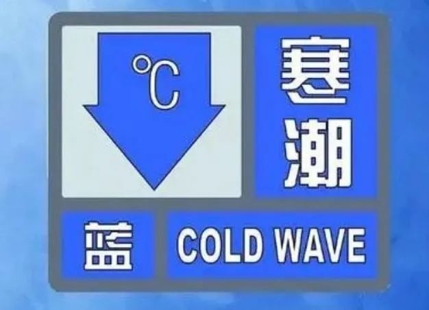 1区2区3区4区产品乱码芒果白狼:09-12-19-20-38-43Y：07,探索产品乱码背后的故事，芒果白狼与区域之谜（09-12-19-20-38-43Y，07）